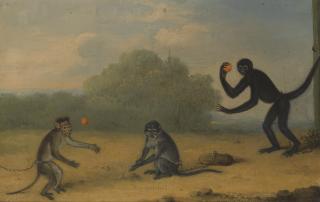 Henry Bernard Chalon - Three Monkeys At Play