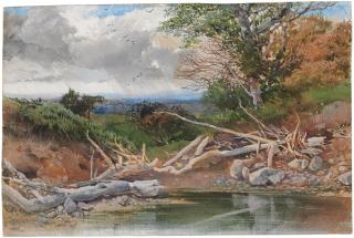 Henry Bright - A pond in a wooded landscape, with an approaching rainstorm