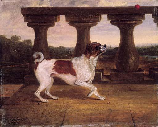 Henry Calvert - Lady Ashburnham\'s pet dog \'Fan\', with a ball on a terrace