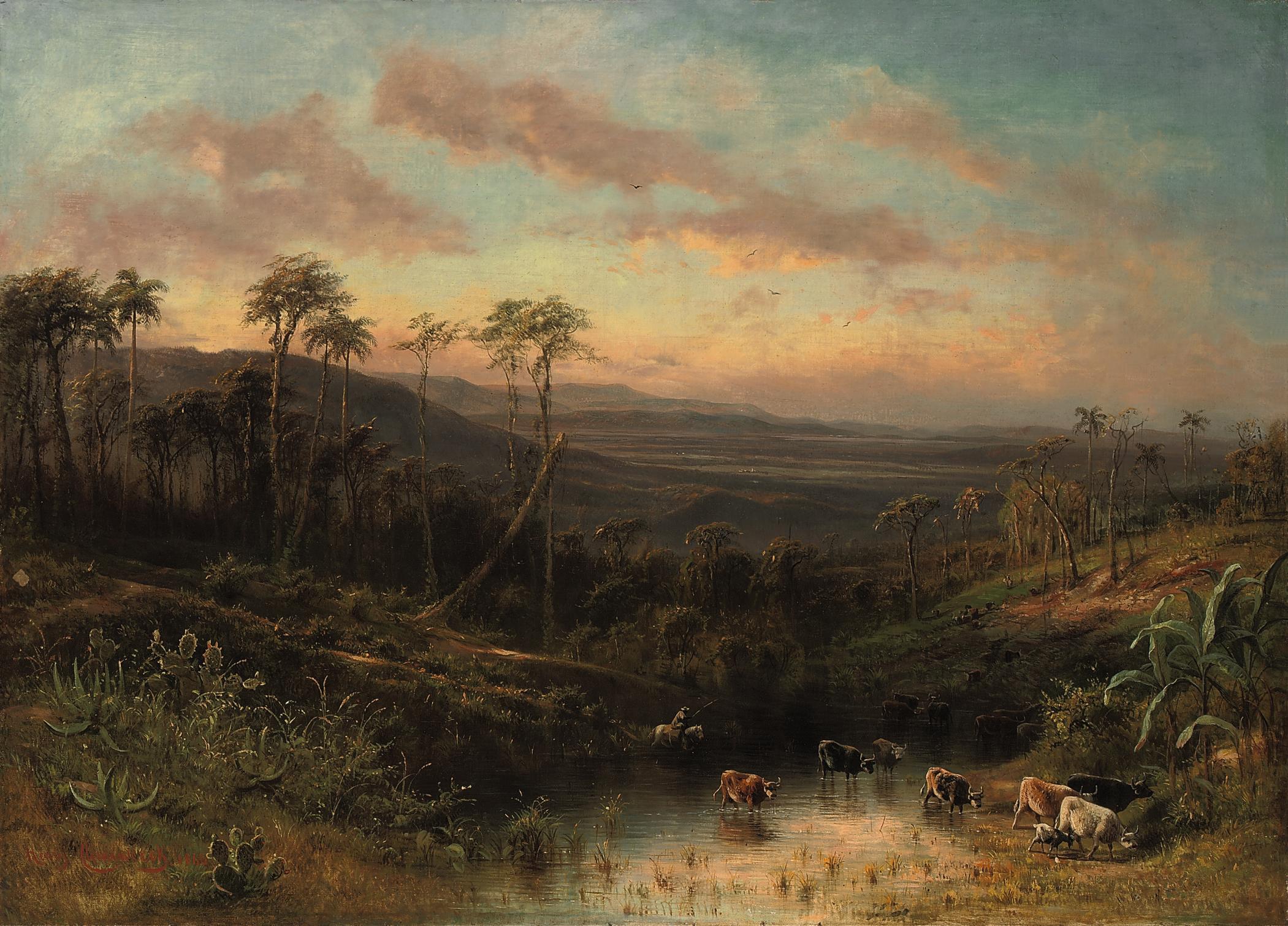 Henry Cleenewerck - An extensive Cuban landscape, cattle watering at a pool in the foreground