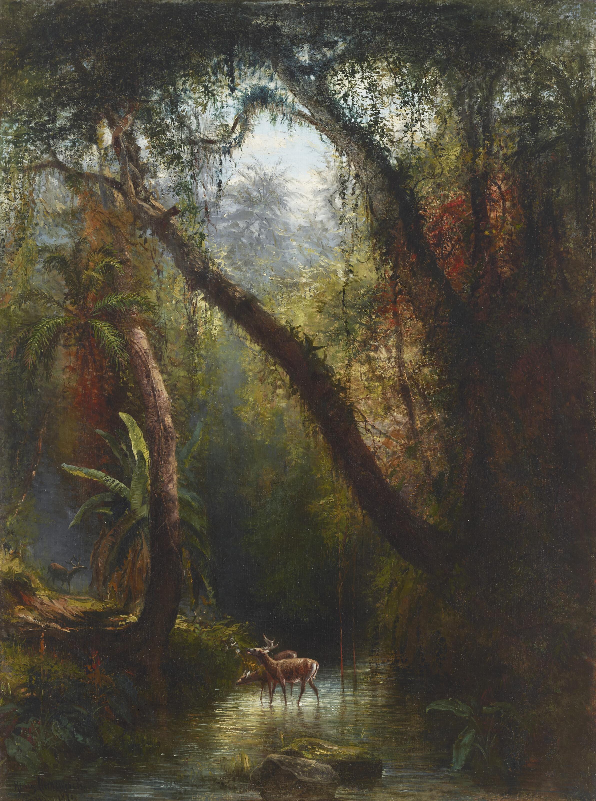 Henry Cleenewerck - Early Morning in Cuba