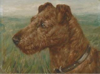 Henry Crowther - An Irish terrier