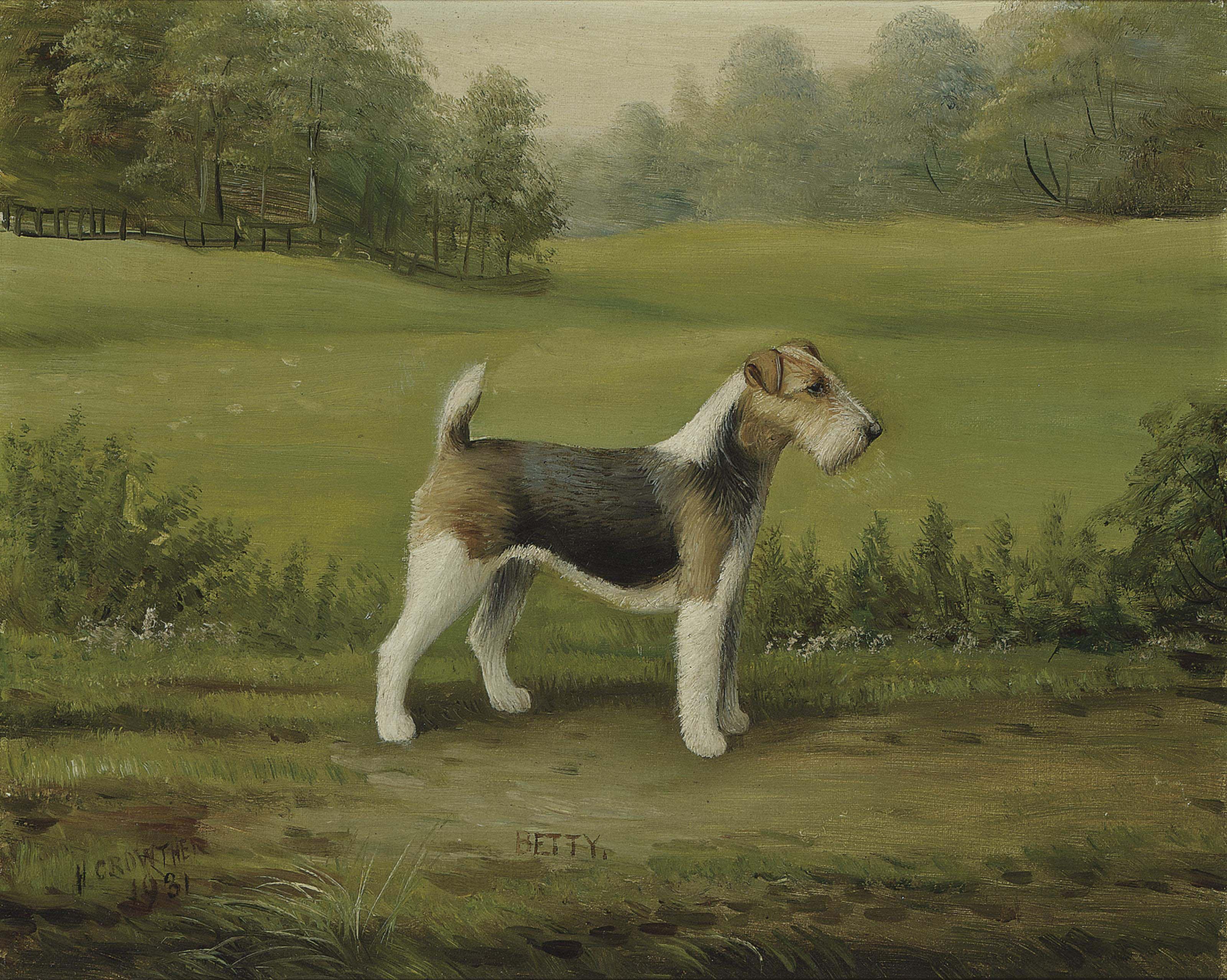 Henry Crowther - Betty, a wire fox terrier