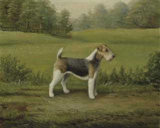 Henry Crowther - Betty, a wire fox terrier