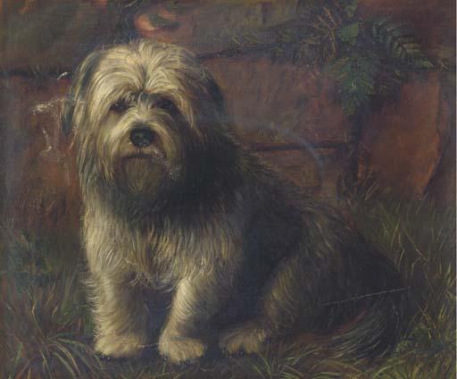 Henry Crowther - Portrait of A Terrier