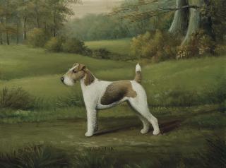 Henry Crowther - Talahina, a wire fox terrier