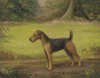 Henry Crowther - Underbank Startler, a terrier