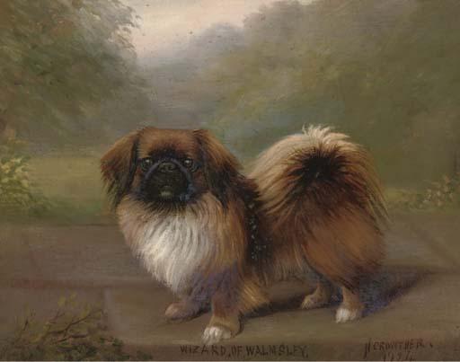 Henry Crowther - Wizard of Walmsley