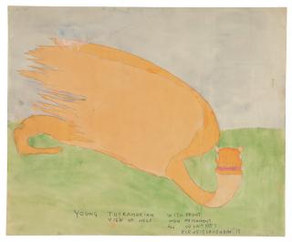 Henry Darger - Young Tuskahorian With Front View Of Head, Non Poisonous, All Countries, Blengiglomenean Is.