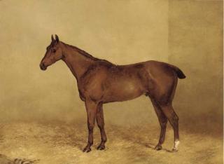 Henry Frederick Lucas Lucas - A chestnut hunter in a stable