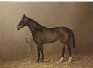 Henry Frederick Lucas-Lucas - Brownie