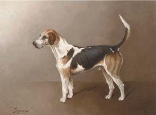 Henry Frederick Lucas-Lucas - Holderness Trueman, a beagle
