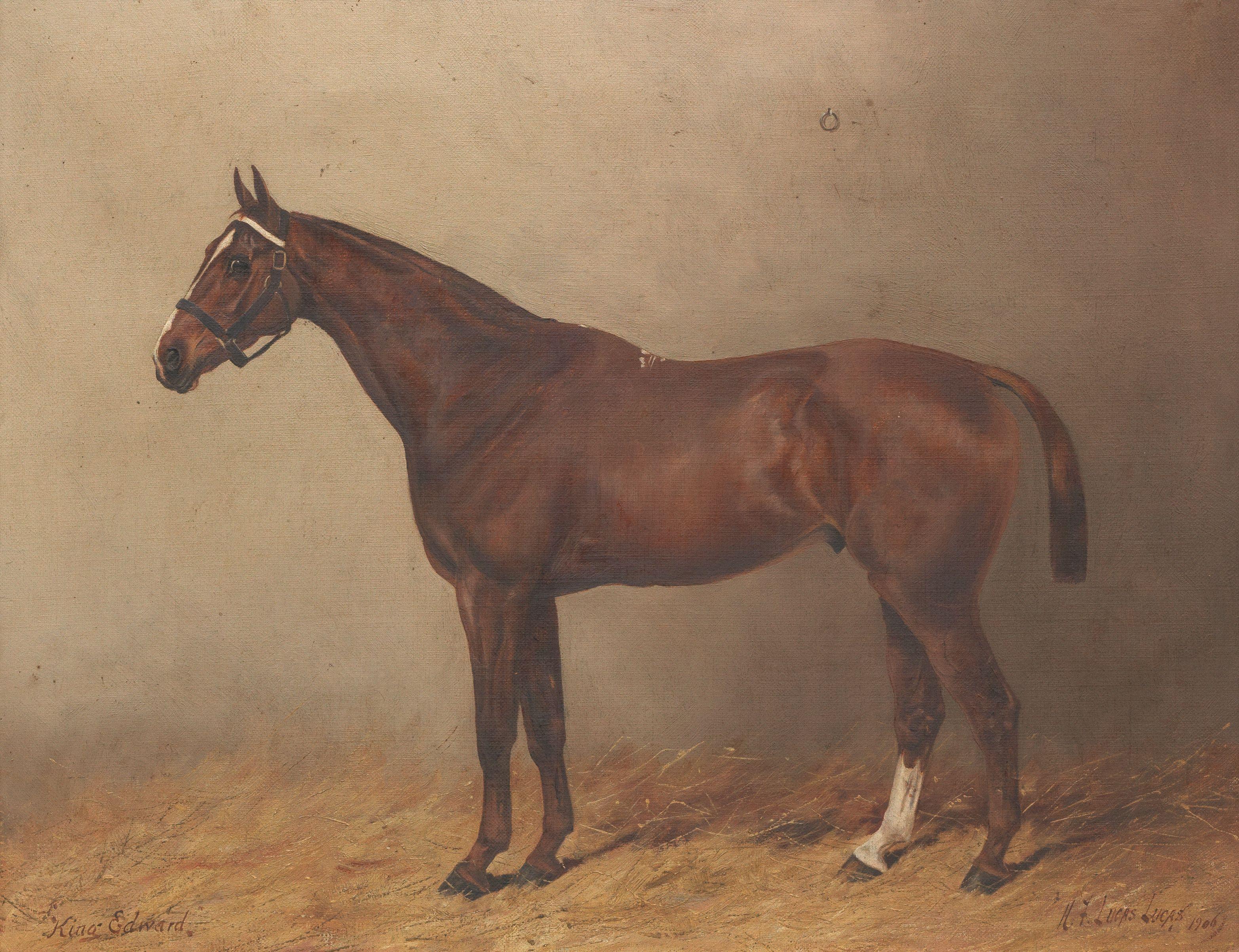 Henry Frederick Lucas Lucas - \'King Edward\' - a Chestnut Hunter in Loosebox