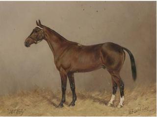 Henry Frederick Lucas-Lucas - Mr Ugly