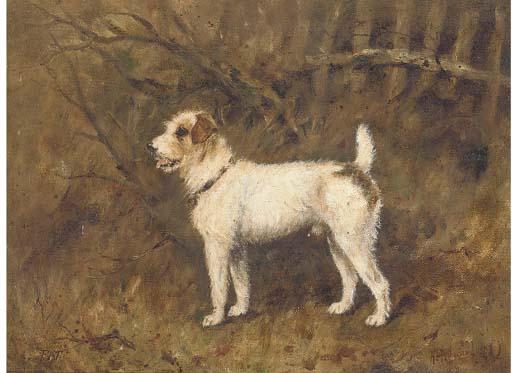 Henry Frederick Lucas-Lucas - Pat, A Wire Haired Terrier