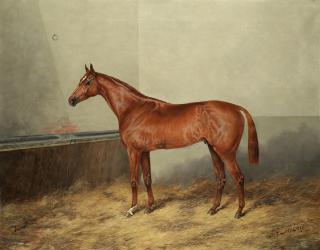 Henry Frederick Lucas Lucas - The chestnut, Veles in a stable