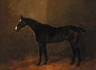 Henry Frederick Lucas-Lucas - Walnut, a dark brown polo pony