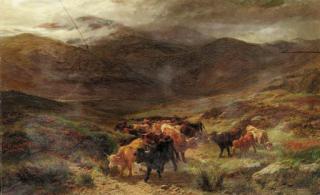 Henry Garland - Highland cattle on the move