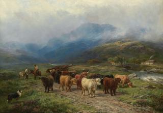 Henry Garland - Highland Cattle