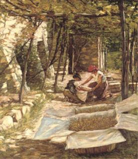 Henry Herbert La Thangue, R.A. - Packing Grapes