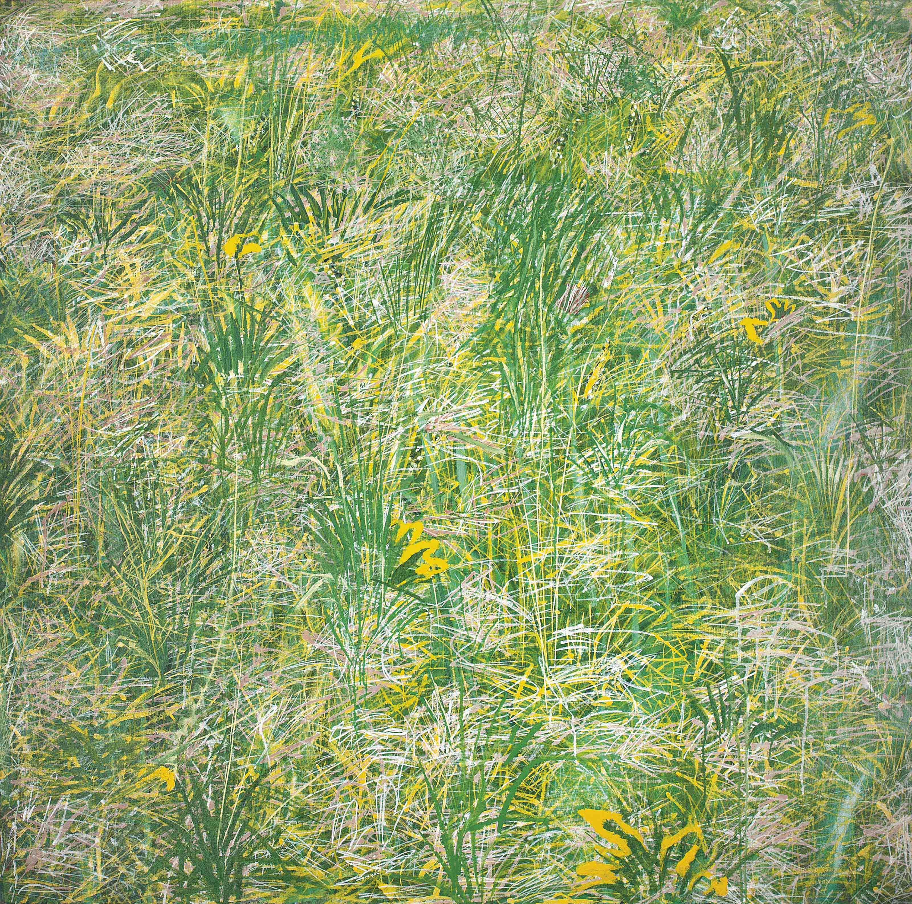 Henry Inlander - Grass