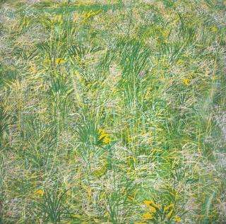 Henry Inlander - Grass