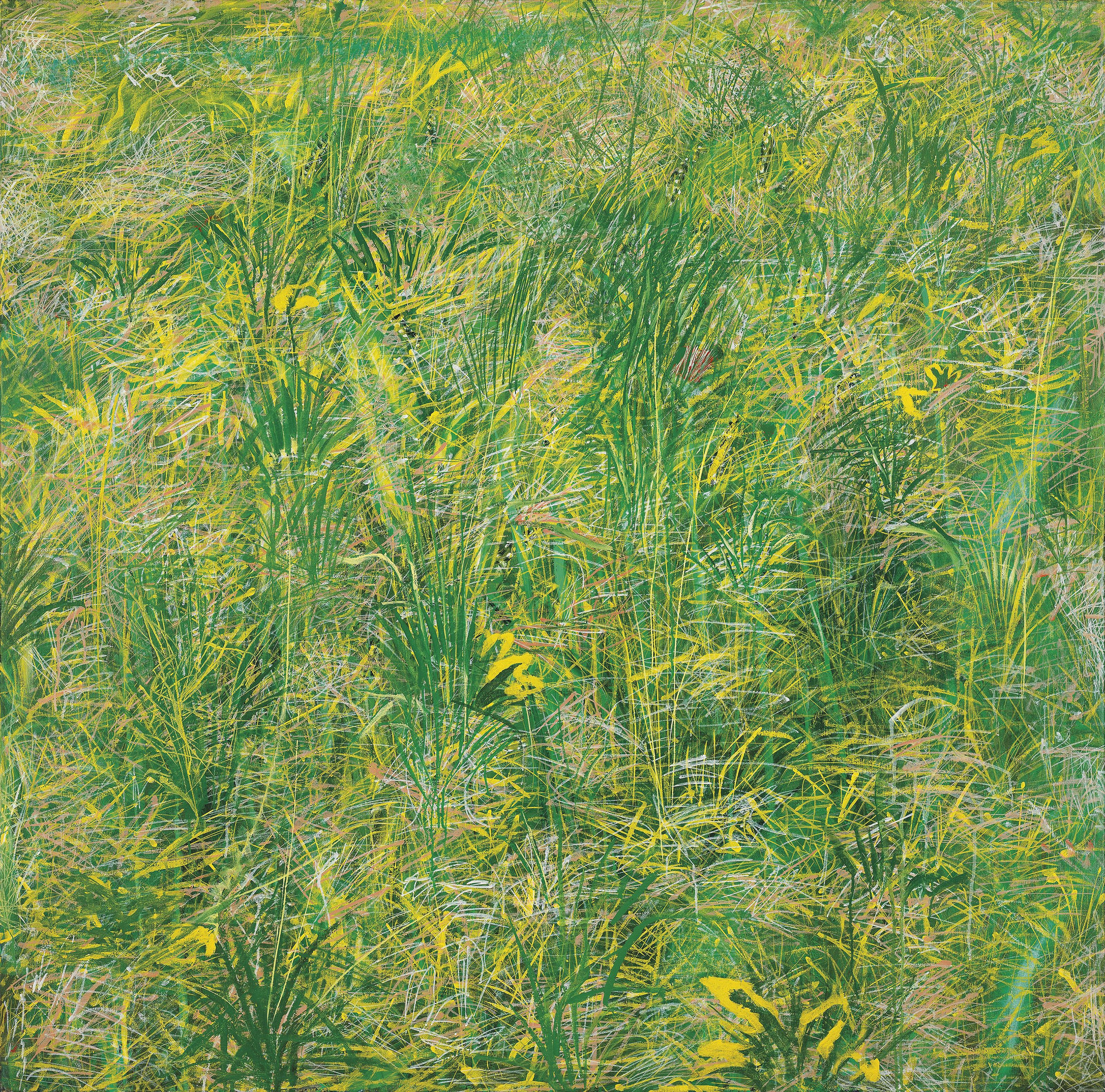 Henry Inlander - Grass