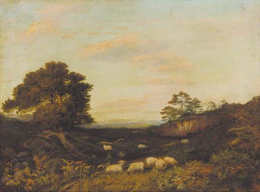 Henry Jutsum - Sheep grazing in heathland