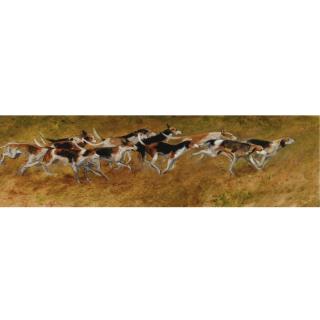 Henry Koehler - American Running Foxhounds