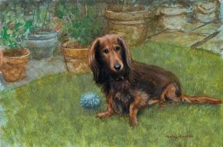 Henry Koehler - Sans titre