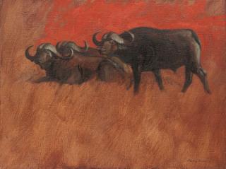 Henry Koehler - Three Cape Buffalo