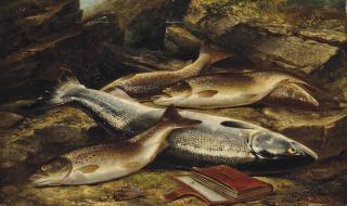 Henry Leonidas Rolfe - A happy fly-fisherman