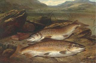 Henry Leonidas Rolfe - Brown Trout On A River Bank