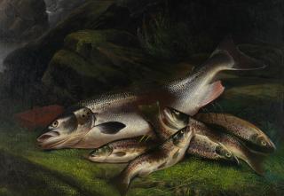 Henry Leonidas Rolfe - Salmon And Trout