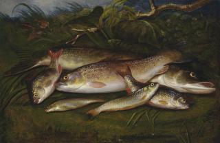 Henry Leonidas Rolfe - Trout, pike, roach, dace and gudgeon on a riverbank