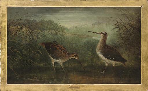 Henry Leonidas Rolfe - Watering snipe