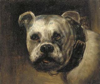 Henry Maurice Page - A bulldog