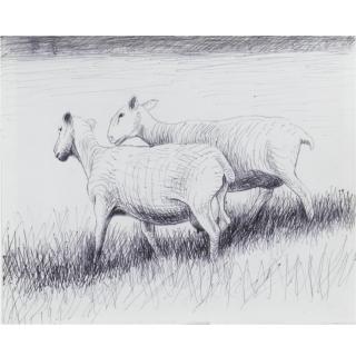 Henry Moore, O.M., C.H. - Shorn Sheep