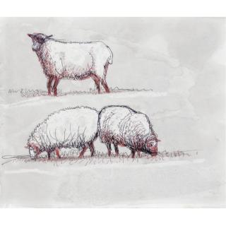 Henry Moore, O.M., C.H. - Three Sheep (Sheep Drawing 6)