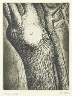 Henry Moore O.M., C.H. - Trees VI: Dead Ash, from \'Trees\'