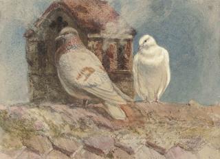 Henry Moore, R.A. - Doves resting on a rooftop, Belles Roches, Lausanne