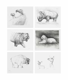 Henry Moore - Animals in the Zoo