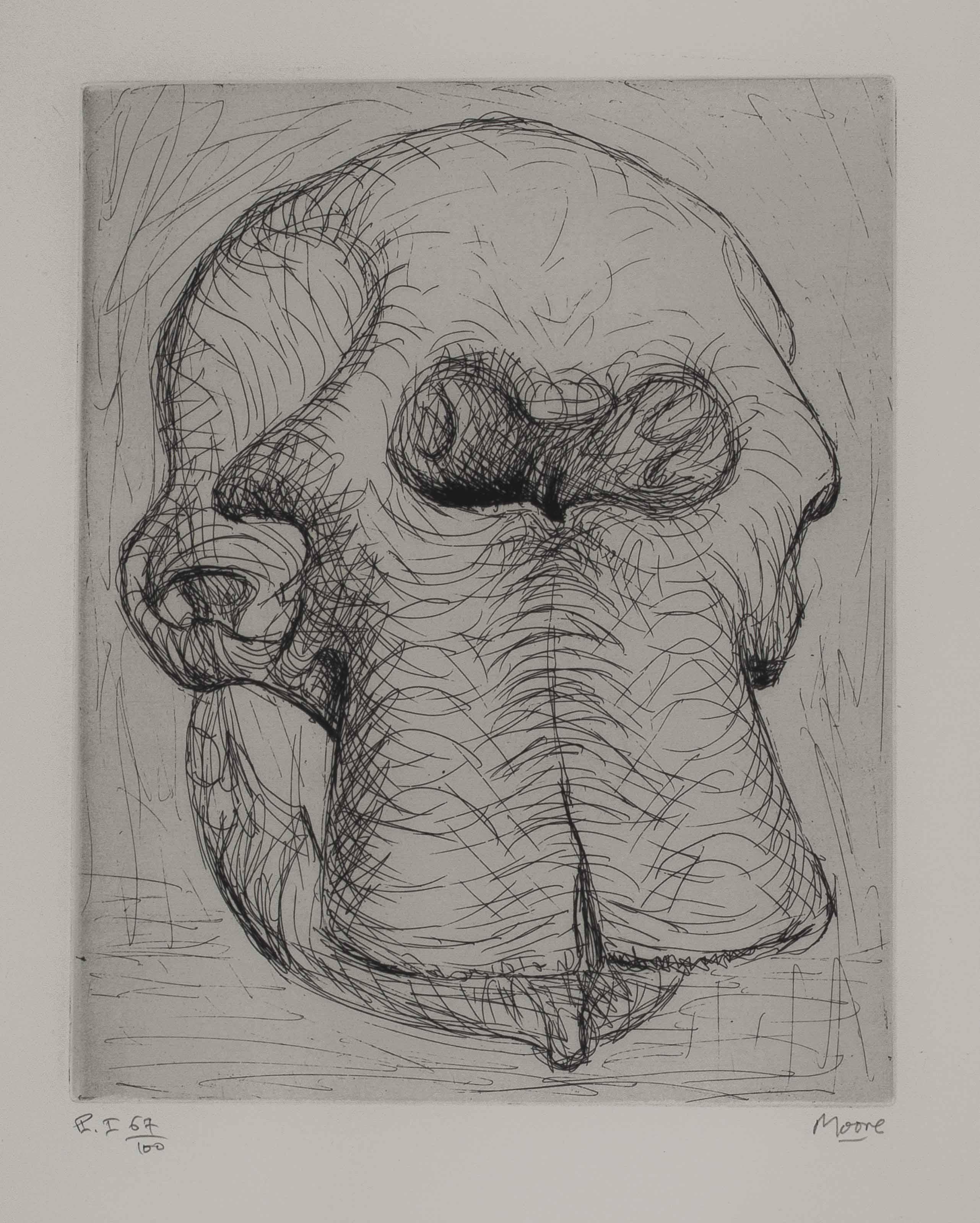 Henry Moore - Elephant Skull Album
