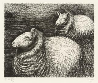 Henry Moore - Ready For Shearing (Cramer 230)