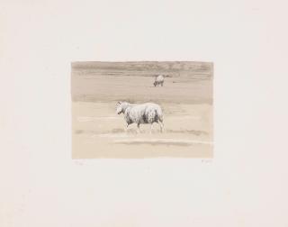 Henry Moore - Sheep in Field