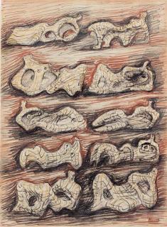 Henry Moore - Studies for Reclining Figure