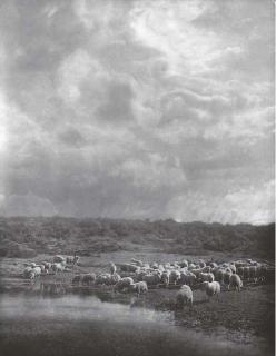 Henry Peach Robinson - Storm Clearing Off