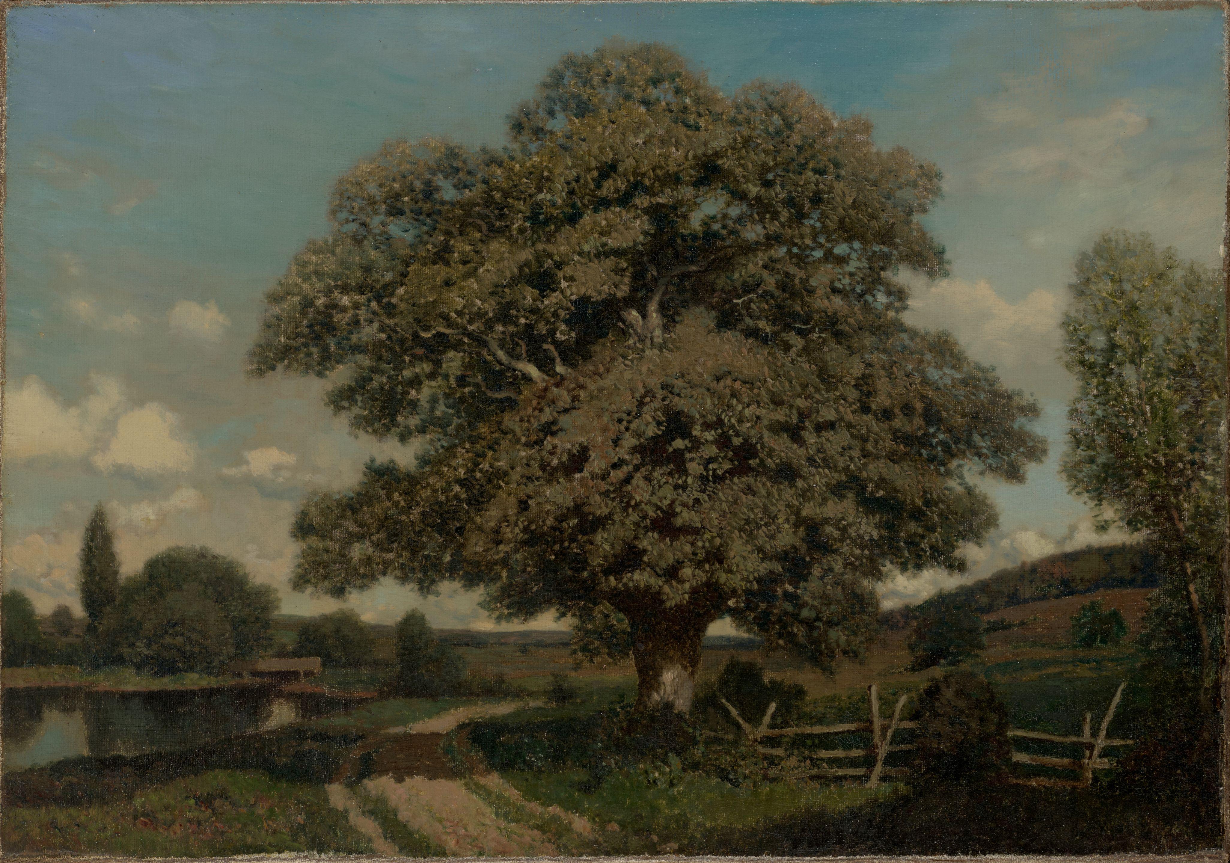Henry Pember Smith - The Old Oak Tree