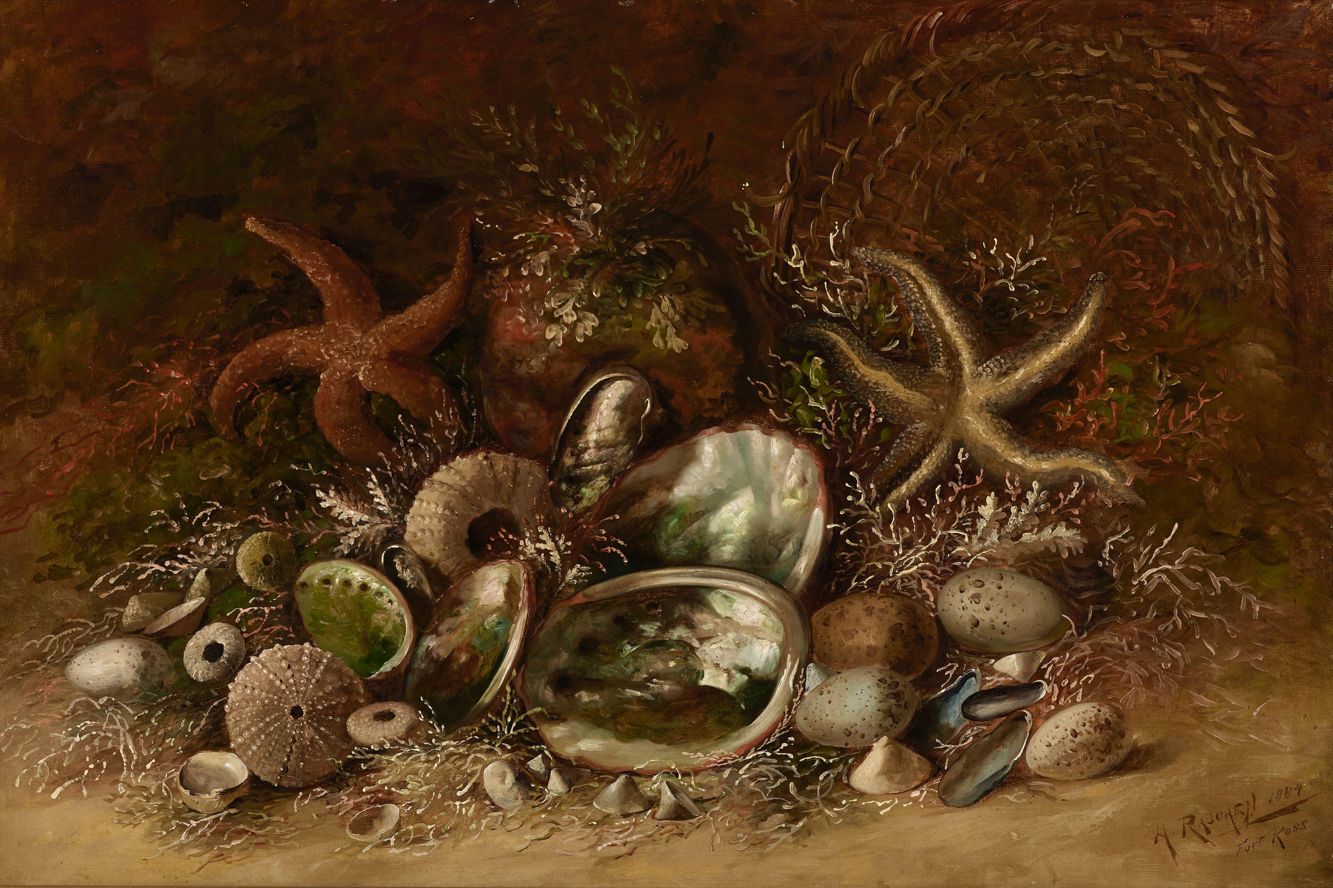 Henry Raschen - Still Life with Seashells