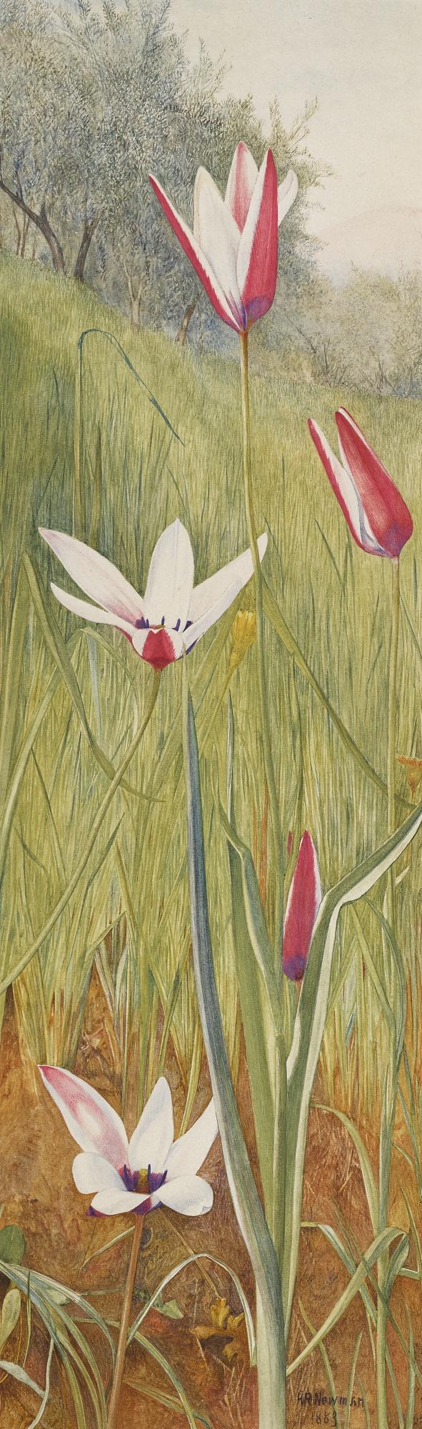 Henry Roderick Newman - Flowers In A Landscape